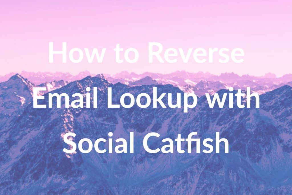 reverse email lookup