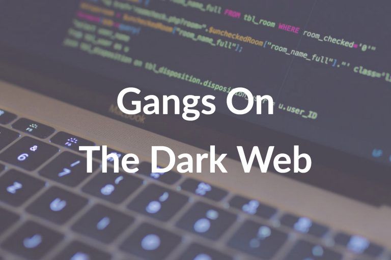 Credit Card Fraud: Gangs Using the Dark Web ?