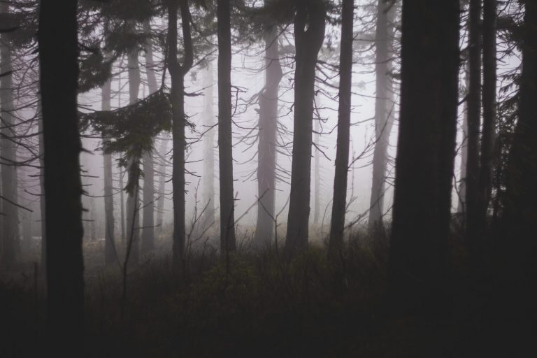 Tinder Horror Stories That Will Leave You Frightened This Halloween