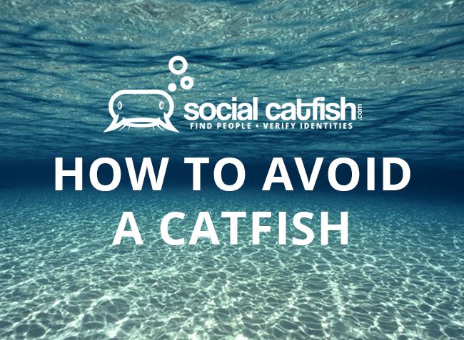 How to Avoid an Online Catfish (or Romance Scammer)