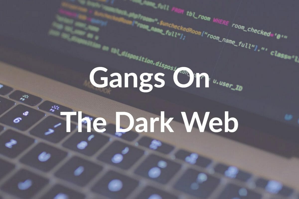 Credit Card Fraud: Gangs Using the Dark Web ?