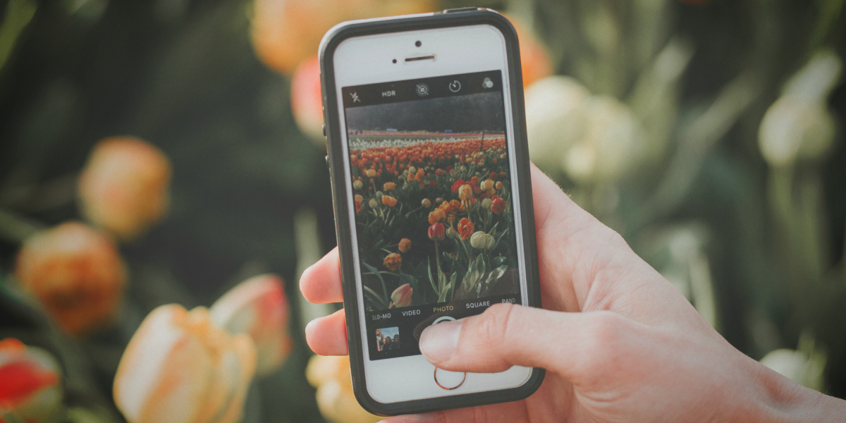 How to Do a Reverse Image Search on Mobile Phone
