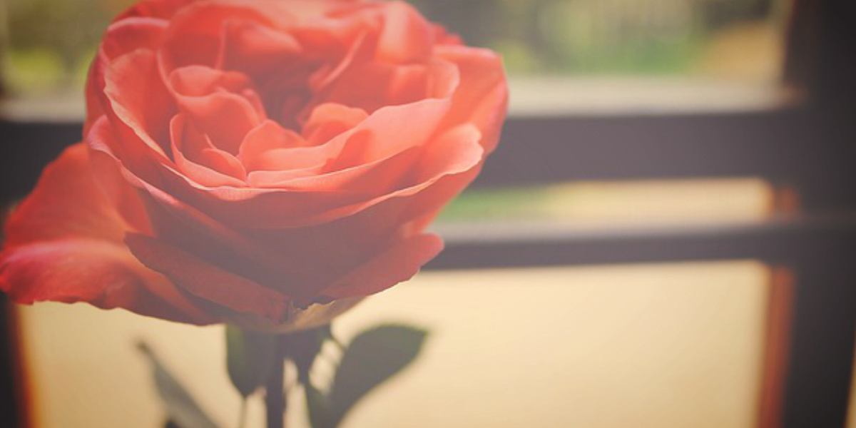 Dating App Match.com Sued by the FTC for Fake Ads