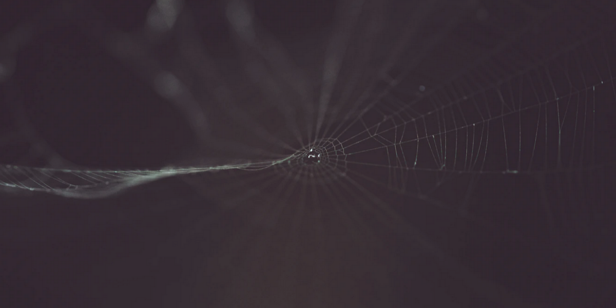 Dark Web Search: How much is your information worth?