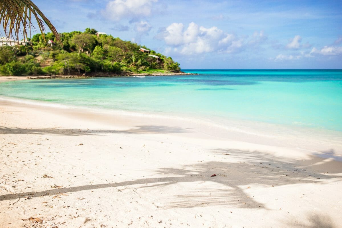 Coronavirus Labor Day Scams: How to Avoid Any Unwanted Scams This Holiday