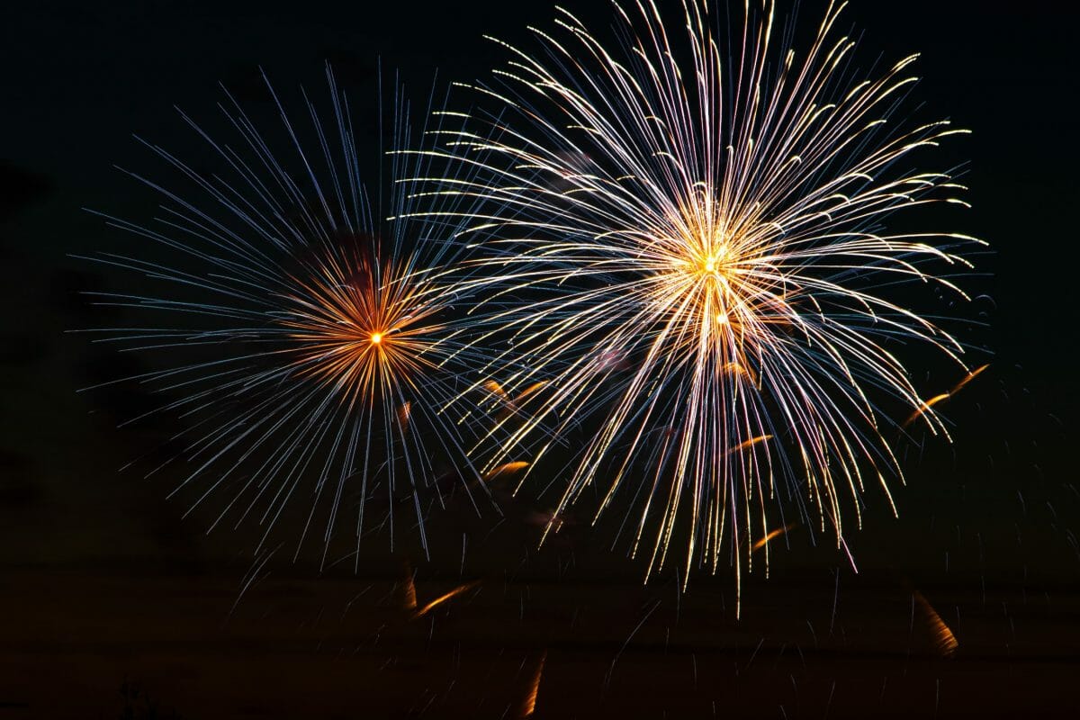 New Years’ Resolutions to Fight the Scammers From the Social Catfish Staff