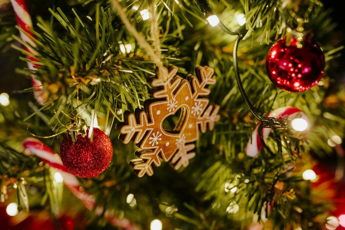 Merry Christmas from the Social Catfish Staff!