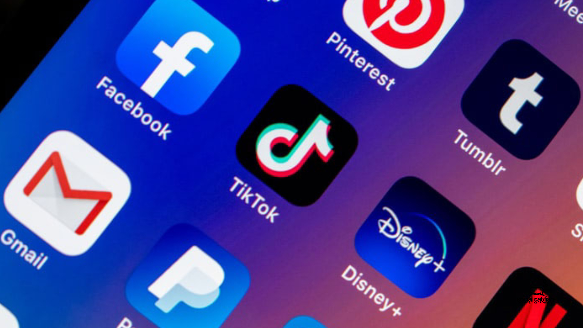 TikTok Star Catfishes Her Catfish