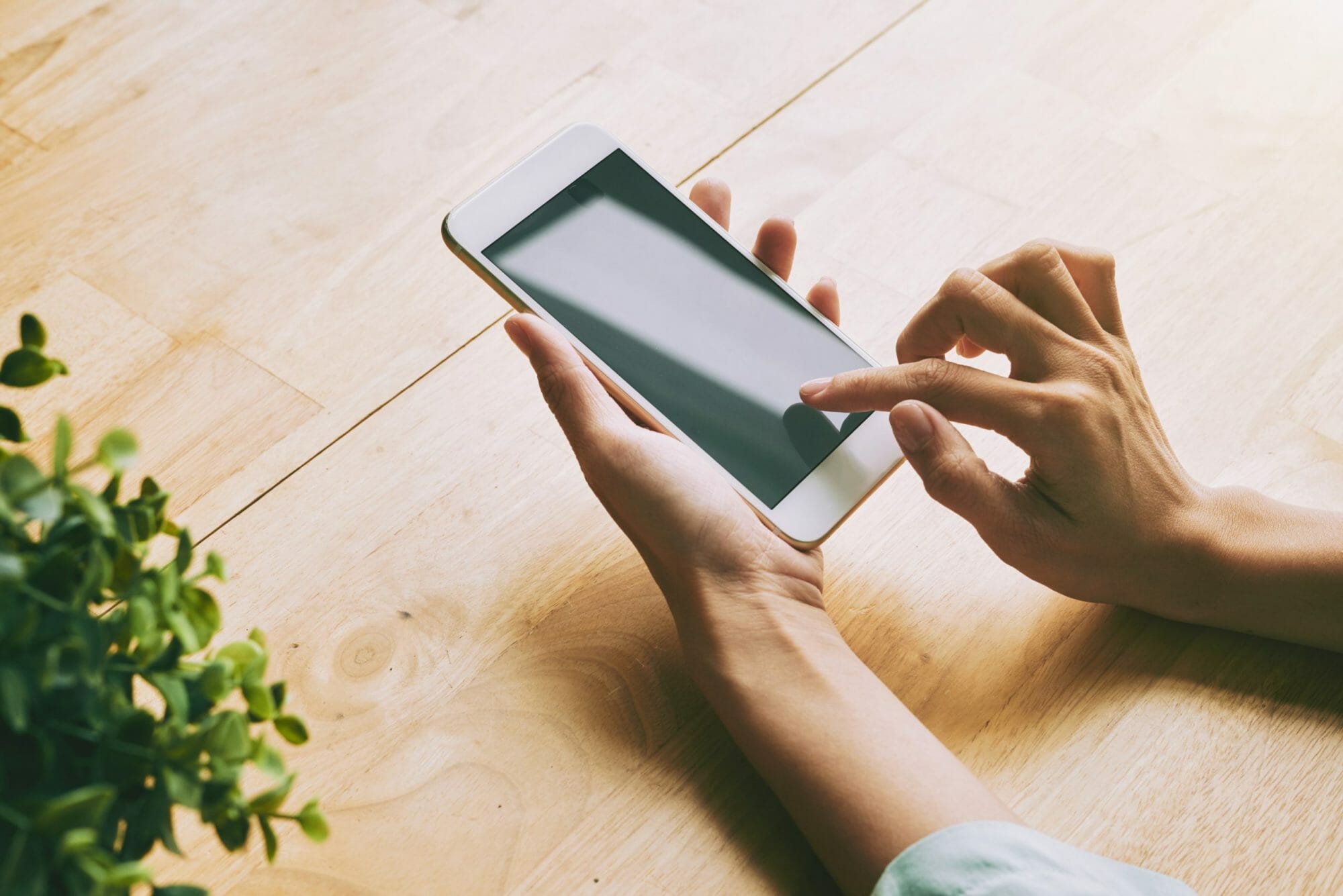 Signs of a Romance Scammer: How to Know That You Are Talking to a Catfish