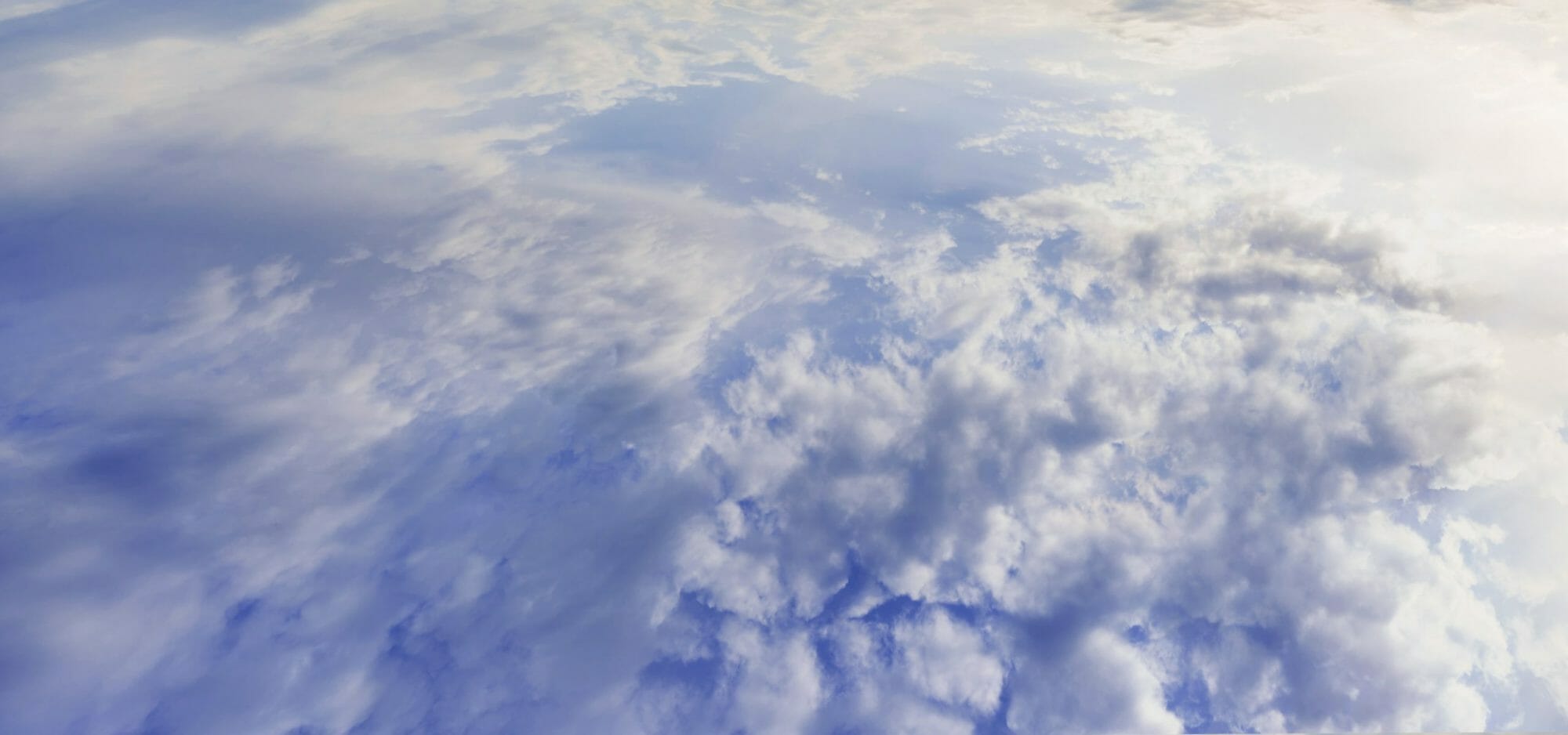 Earth Day Scam: How to Avoid Charity Scams This Earth Day