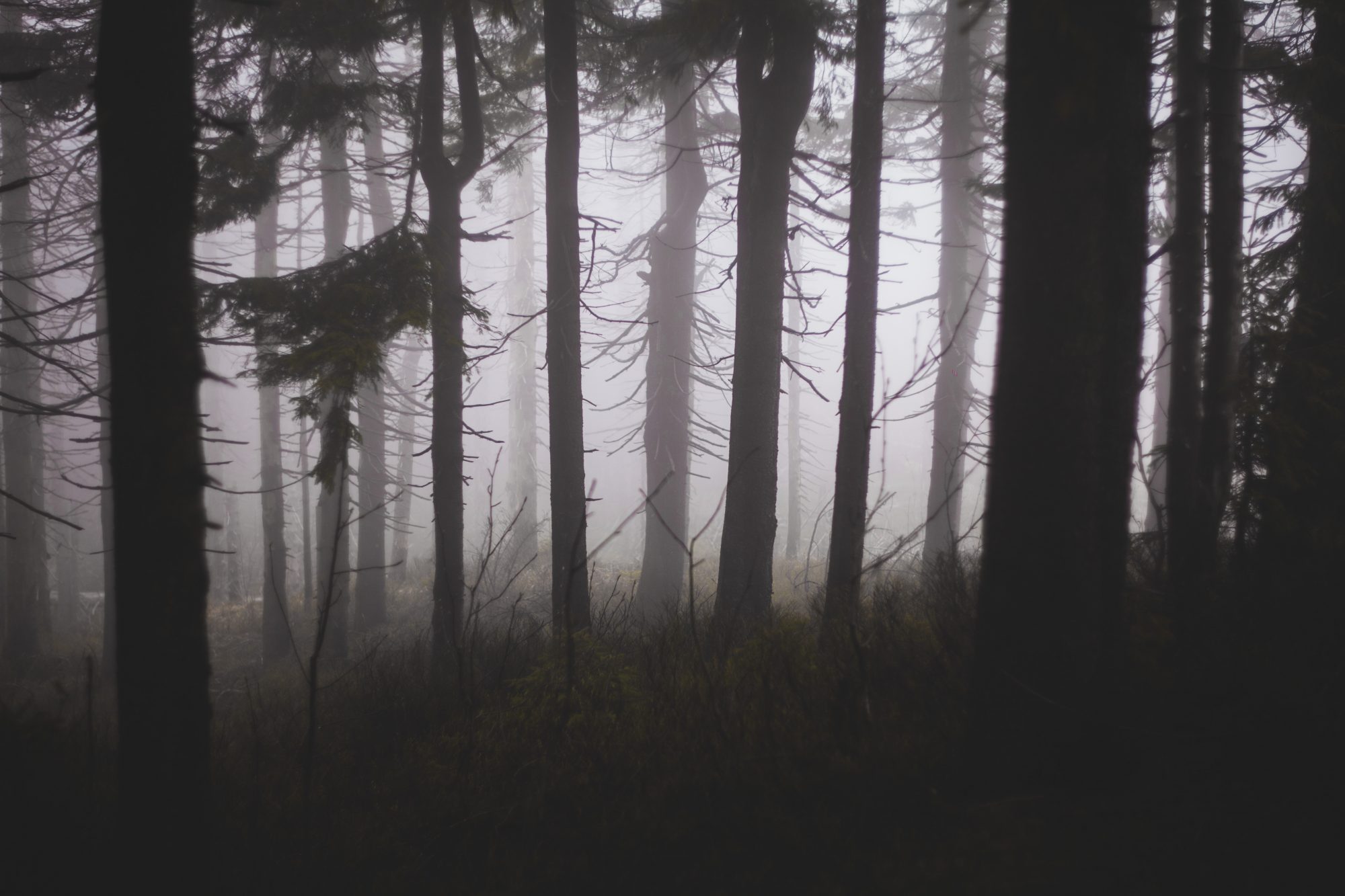 Tinder Horror Stories That Will Leave You Frightened This Halloween