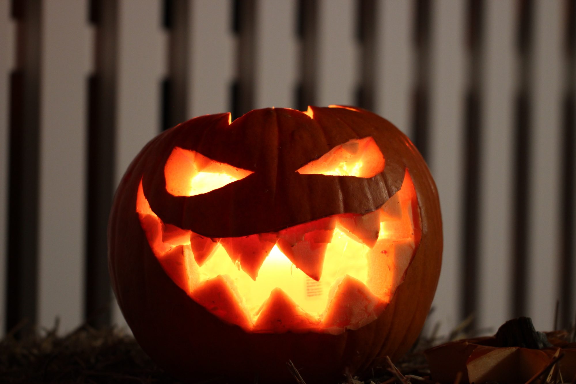 How to Avoid Spooky Halloween Phishing Emails