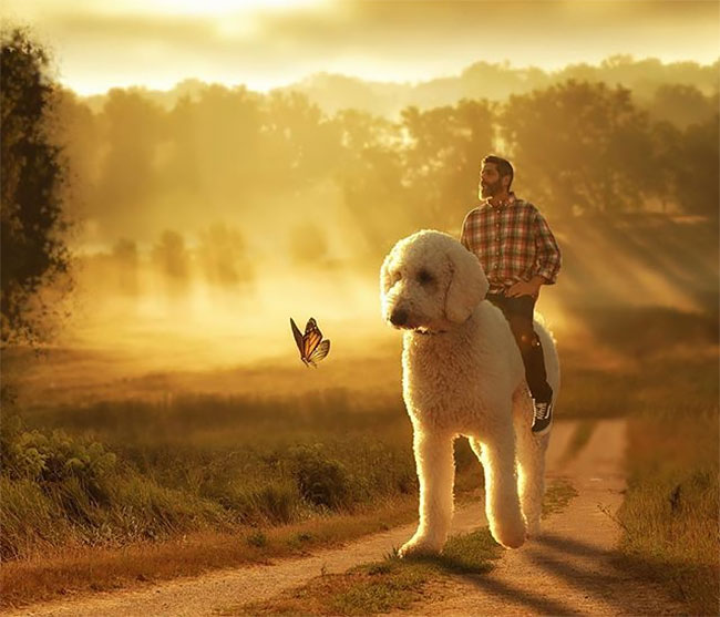 4 Ways of telling If an Image is Photoshopped