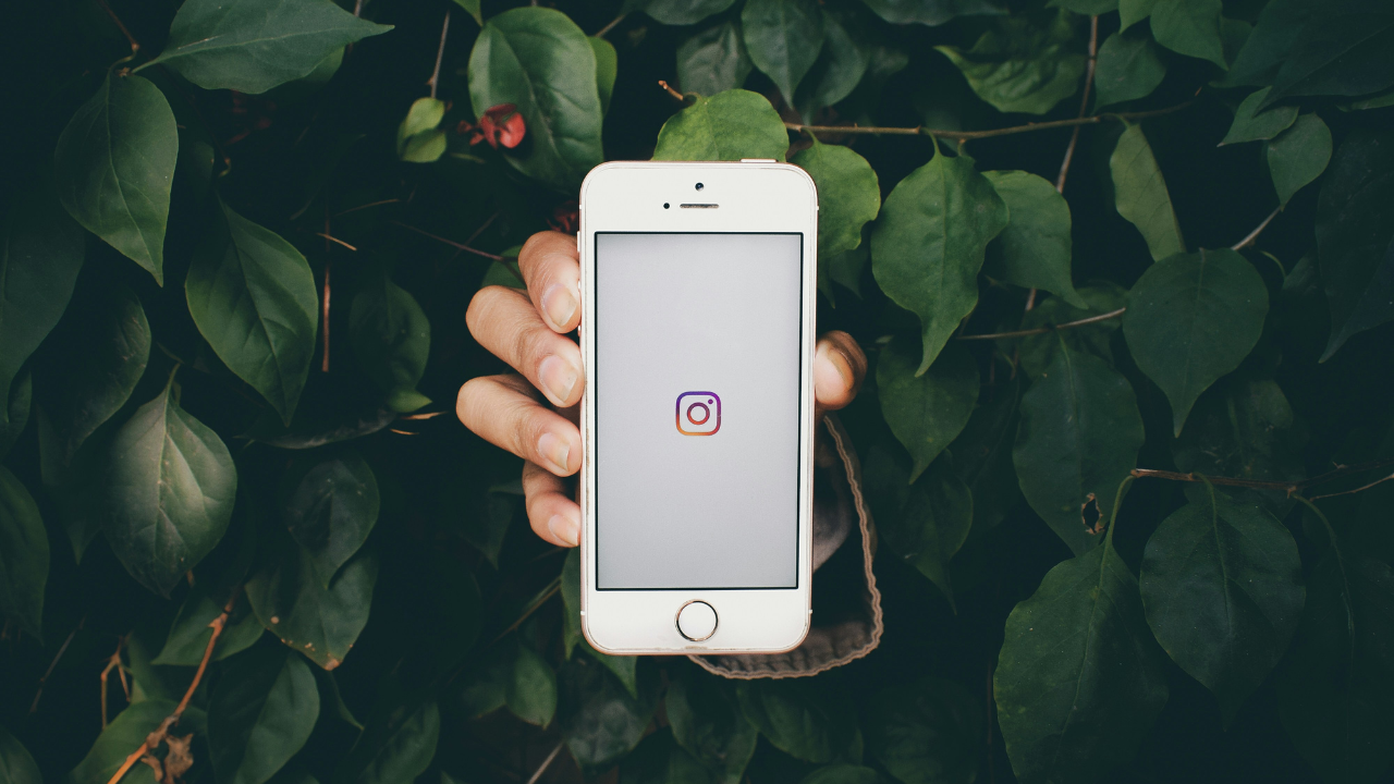 How to Find Someone’s Phone Number by Instagram (Free Methods + Reverse Search)