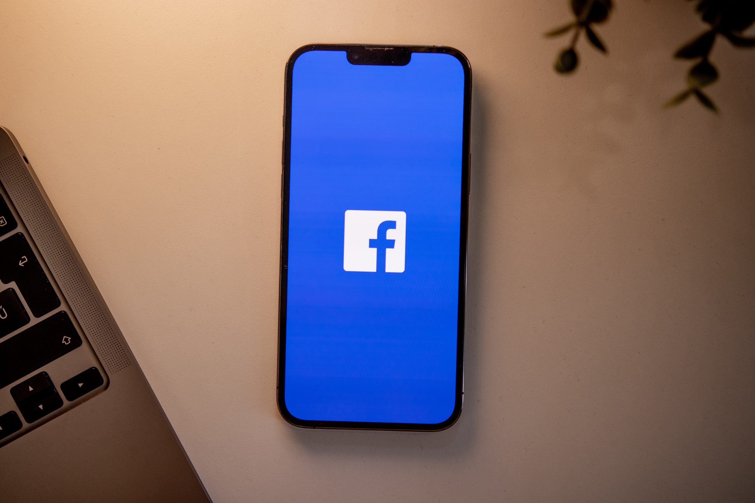 <strong>How to Search For Someone’s Profile On Facebook<strong/>