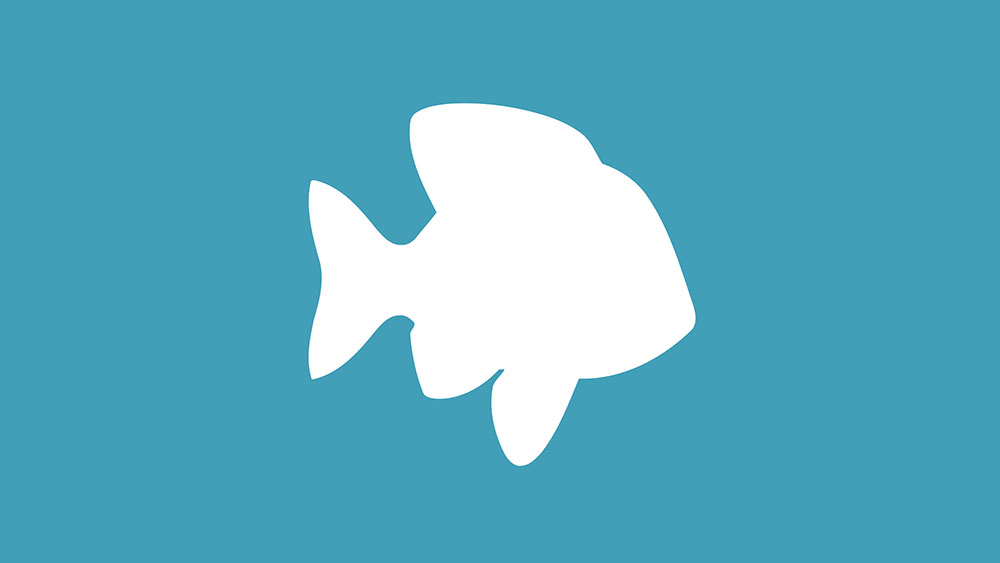 10 Plenty Of Fish Scams To Watch Out For