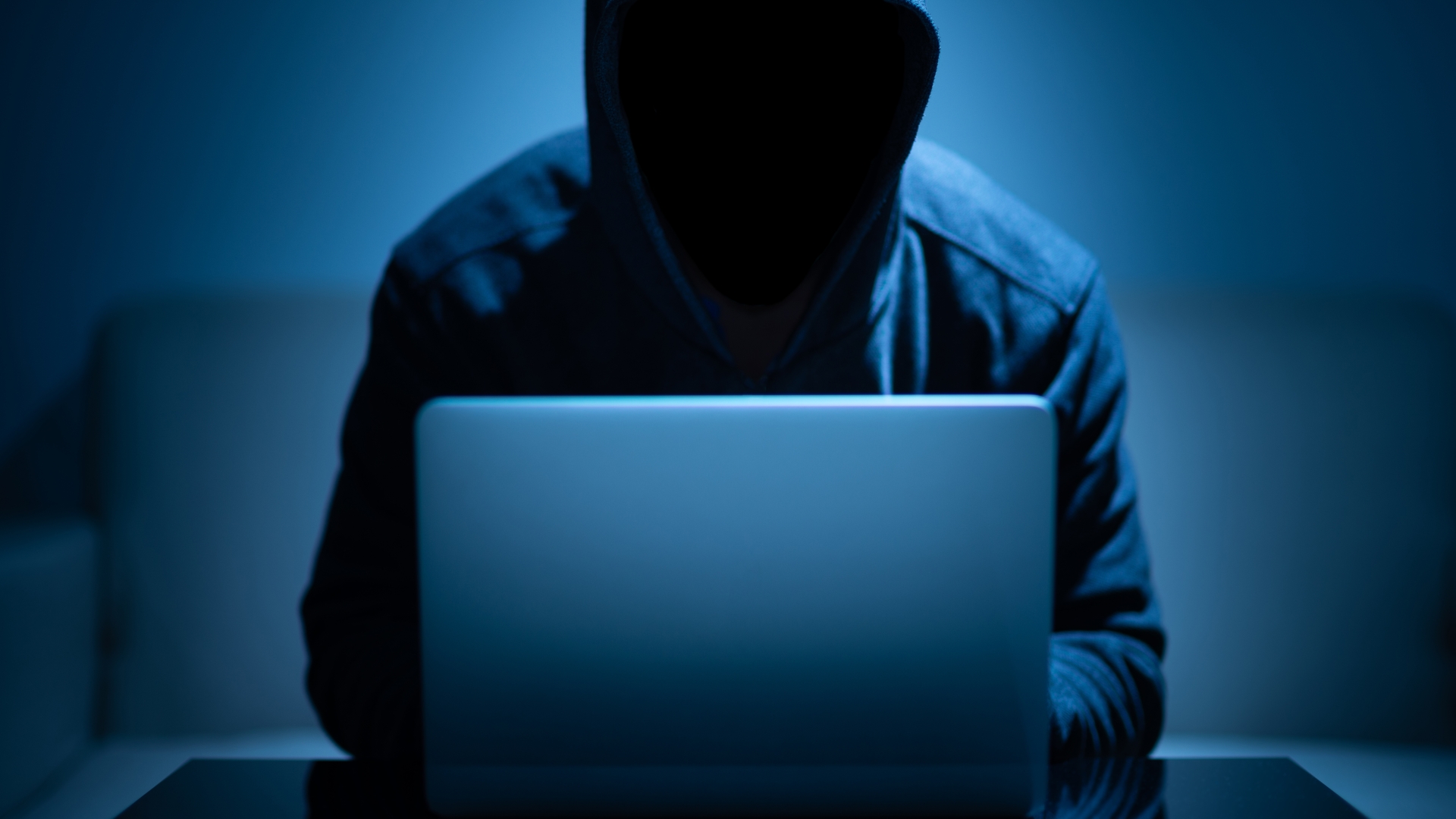 How to Detect and Avoid Online Scams