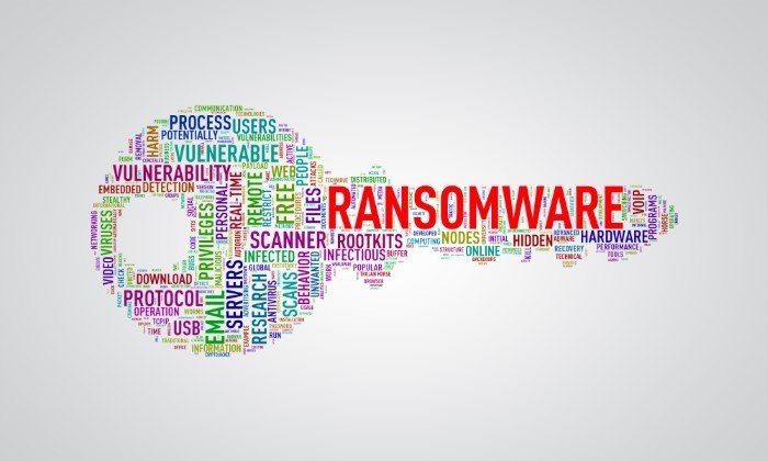 The Rise of Ransomware Protection: What You Need to Know