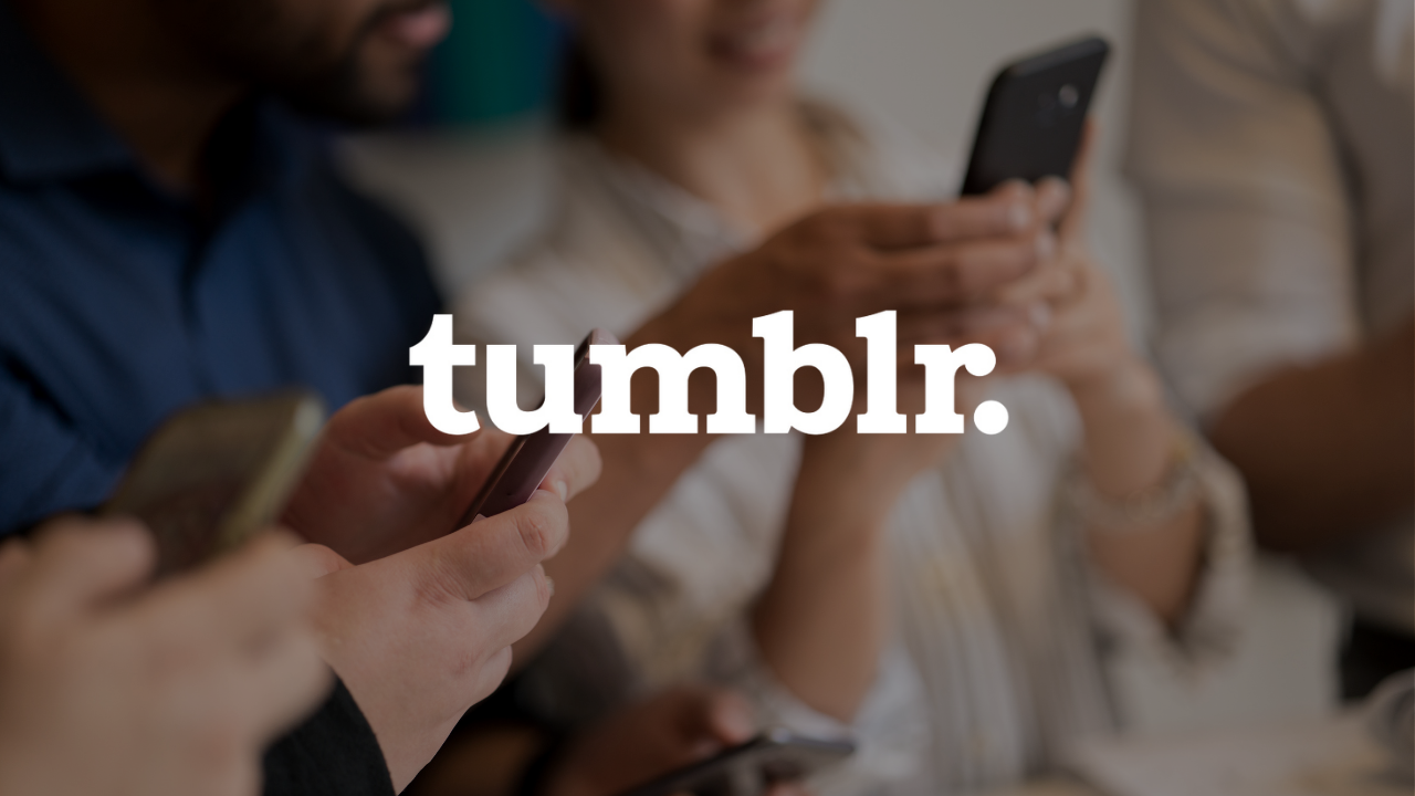 Tumblr User Search: How to Find Someone on Tumblr by Email, Phone, or Username