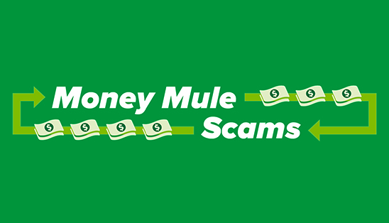 The Risks of Involvement in Money Mule Scams