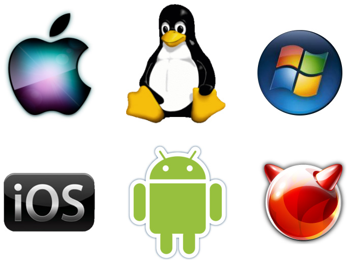 Update Operating System and Apps to Stay Secure