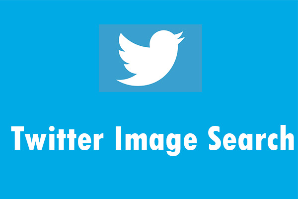 Twitter Reverse Image Search: How to Find the Source of Images on Social Media