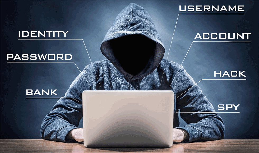 Online Scams Exposed: Using Email Search to Identify Fraud