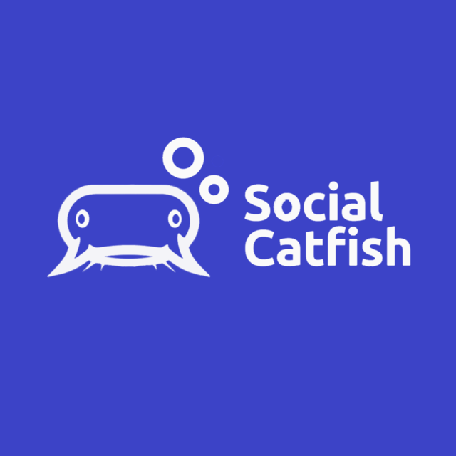 How Social Catfish can Help You Find Out Who’s behind a Shell Company