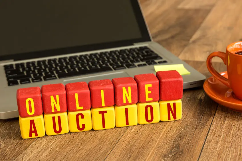 The Risks of Online Auction Sites