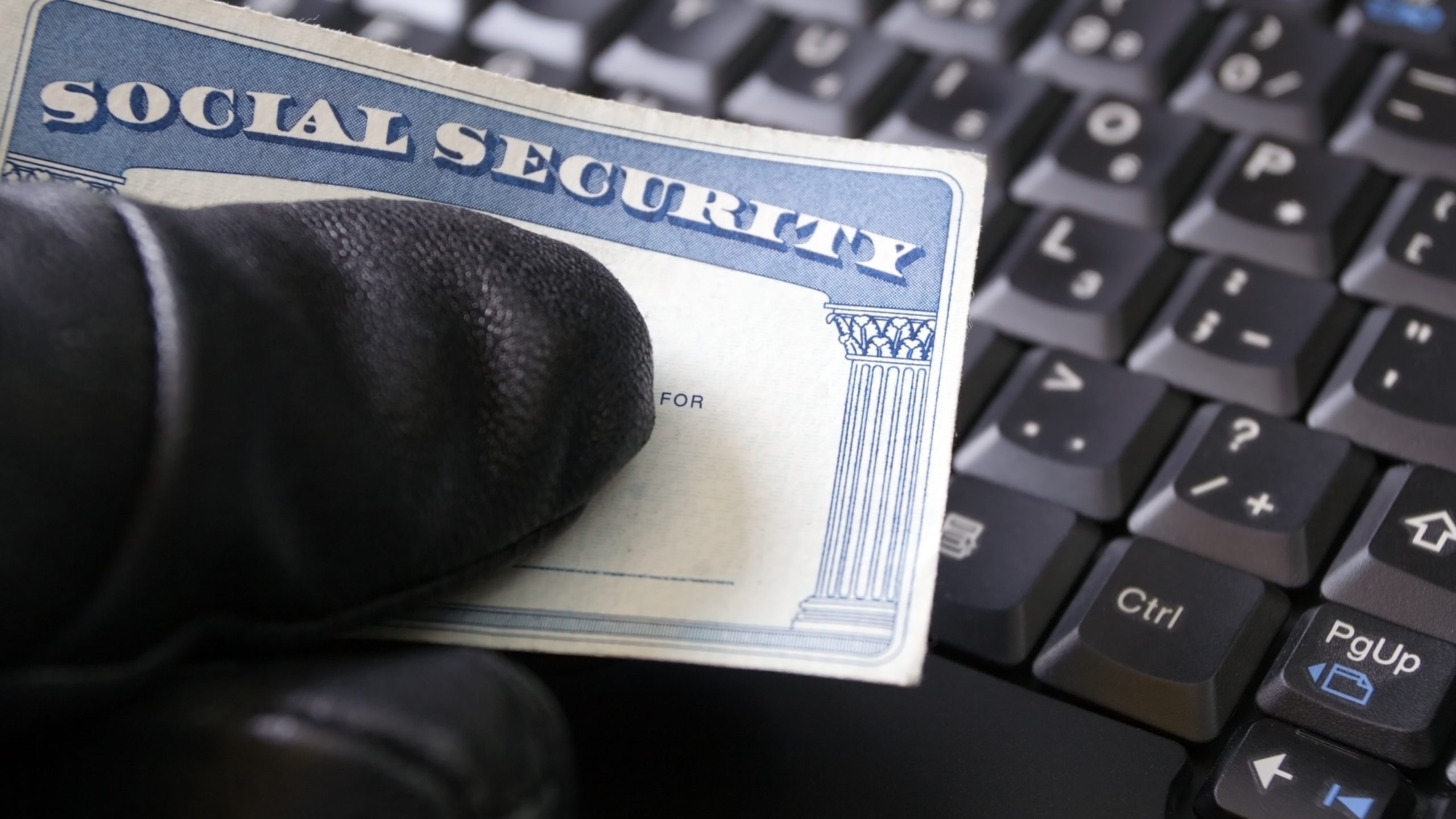 Types of Identity Guard Software