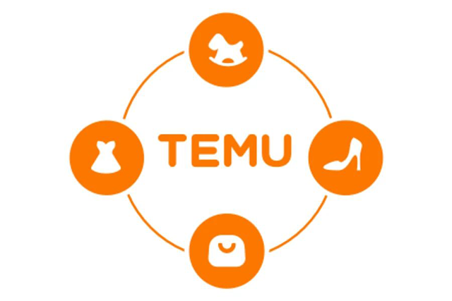 Does Temu Steal Your Information? Investigating Privacy Concerns