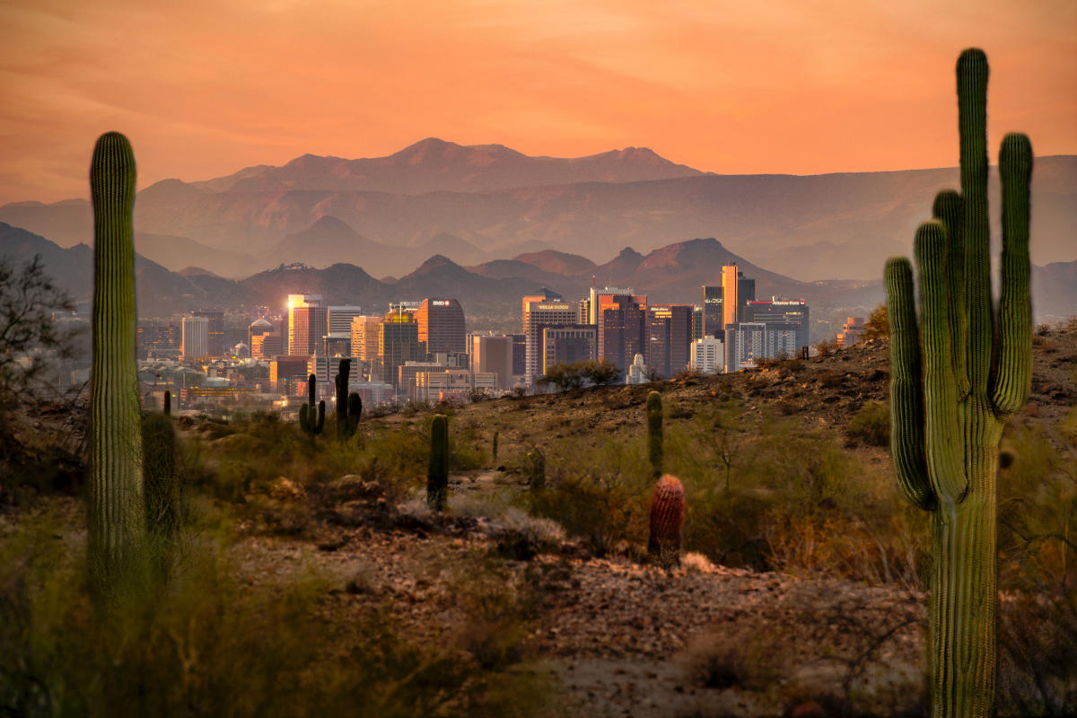 Top 10 Real Estate Agents in Phoenix, Arizona