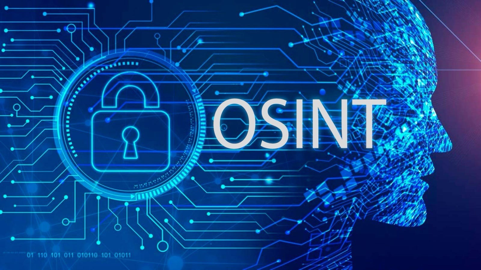 Protect Your Privacy with OSINT Defender