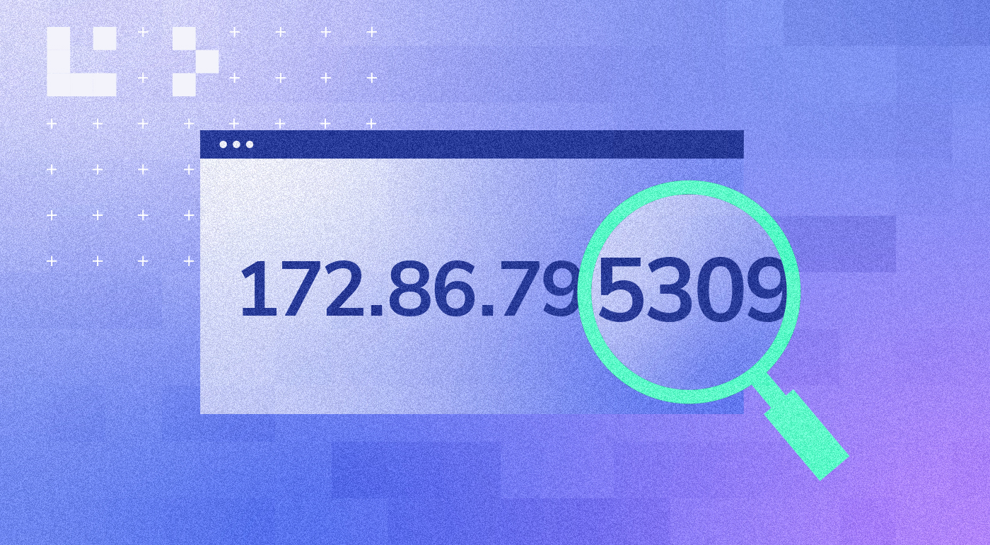 How to do an IP Lookup by Address
