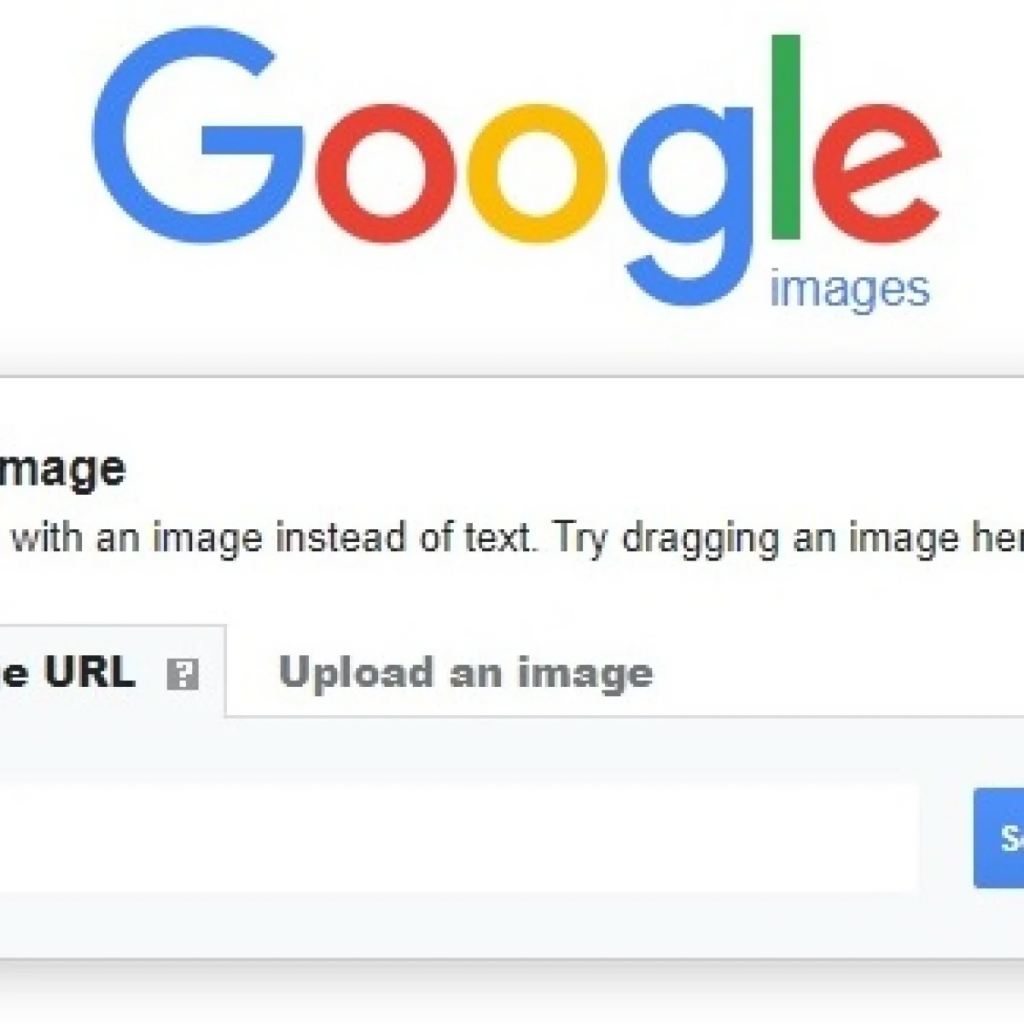 Google Reverse Image Search