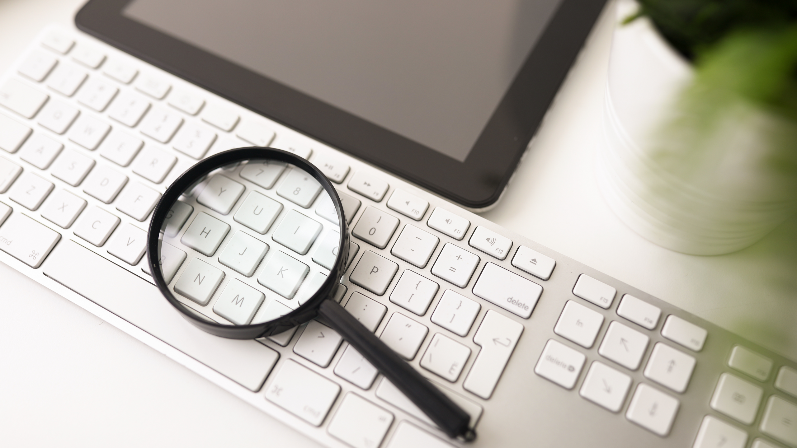 Fake Address: The Digital Footprint That Doesn’t Lead Anywhere