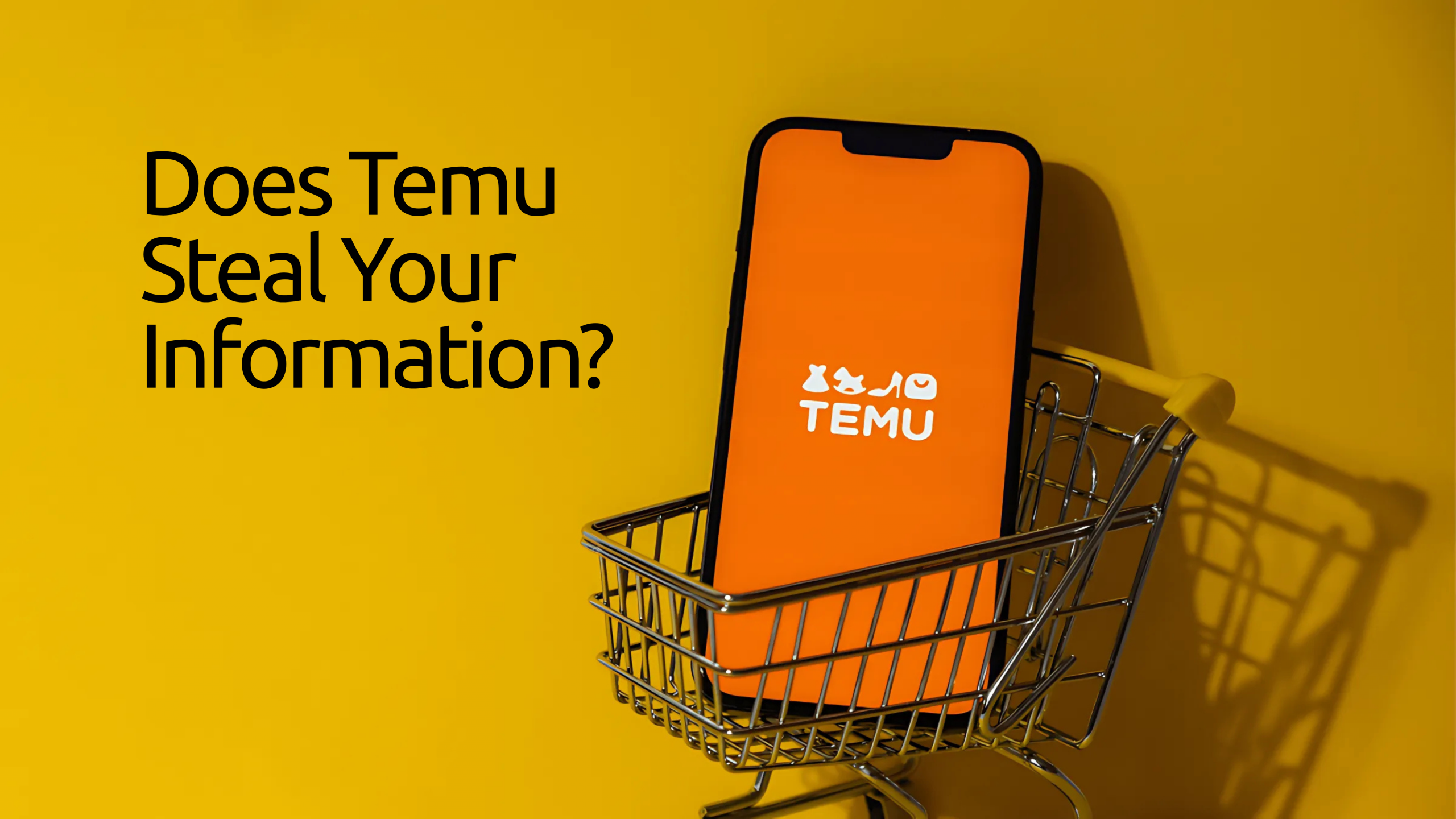 Does Temu Steal Your Information? What You Need to Know Before You Shop