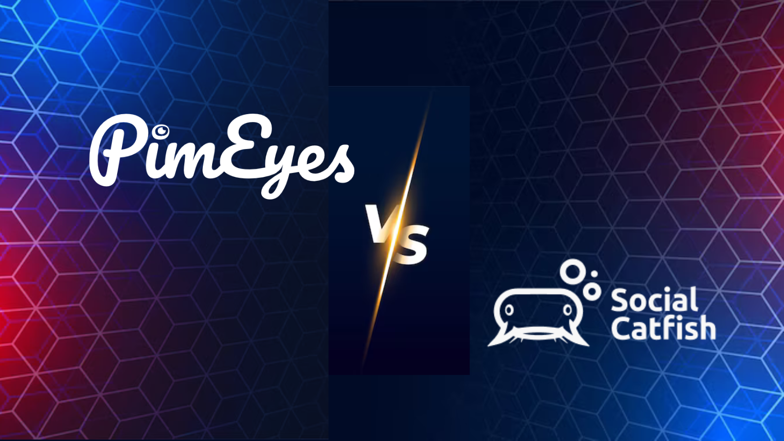 PimEyes vs. Social Catfish: Which Reverse Image Search Actually Unmasks an Online Identity?
