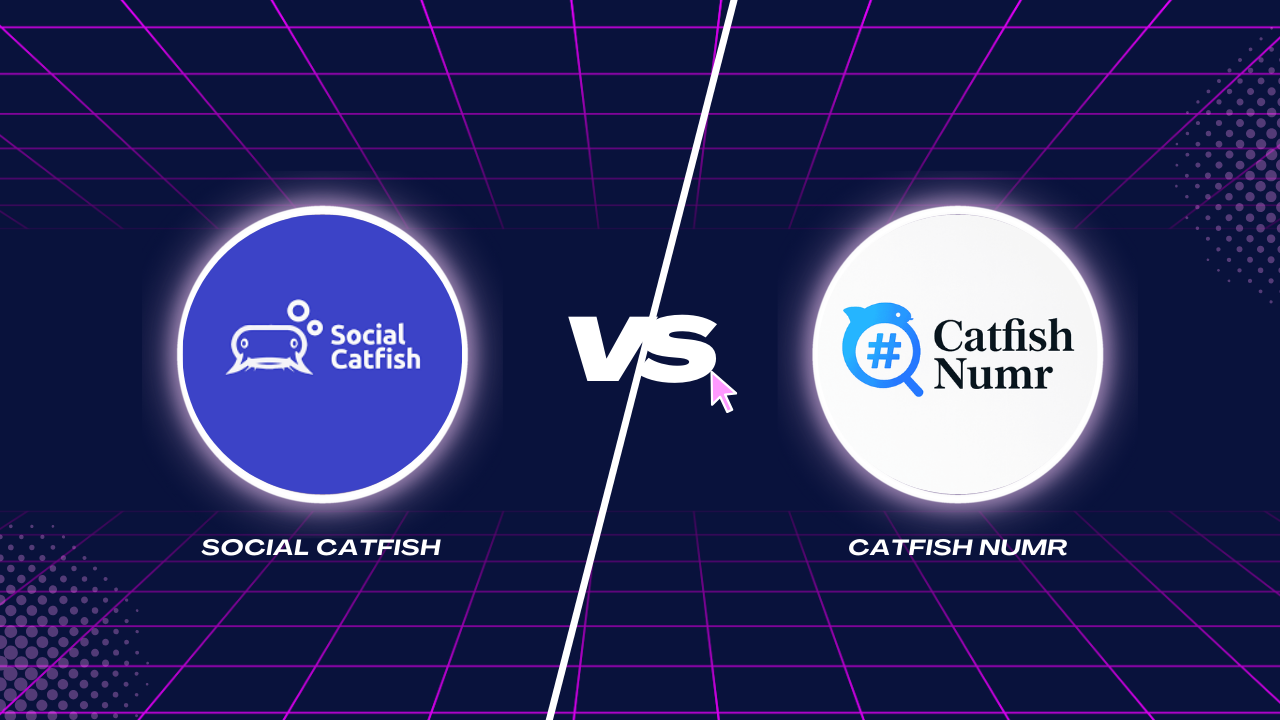 Social Catfish vs Catfish Numr: Which Is the Better Tool for Finding Online Scammers?