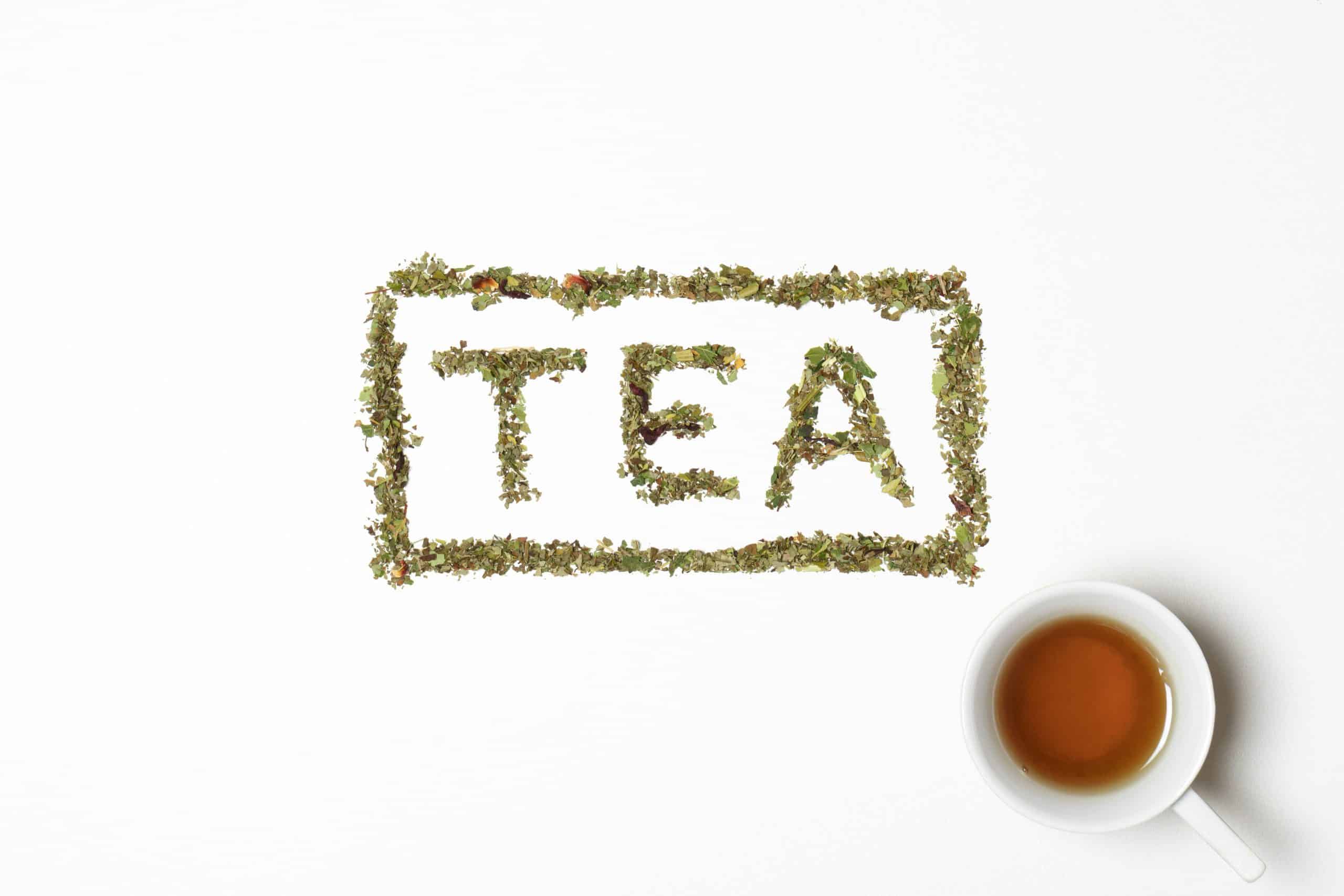 Tea App Search: Find Anyone, Check Your Own Data, and Go Beyond Tea’s Limits