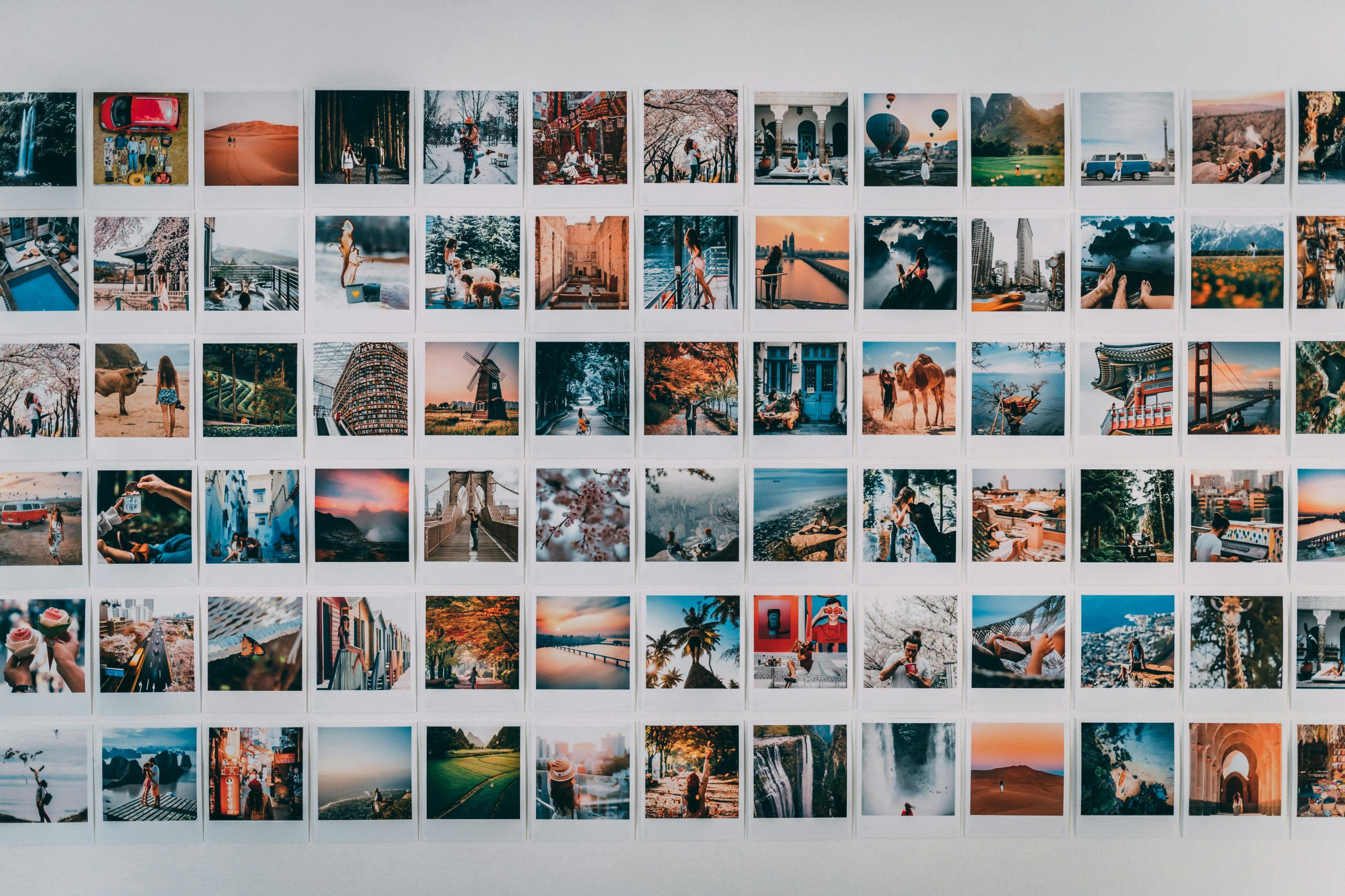 VSCO Search: How to Find Someone on VSCO and Verify Who They Really Are