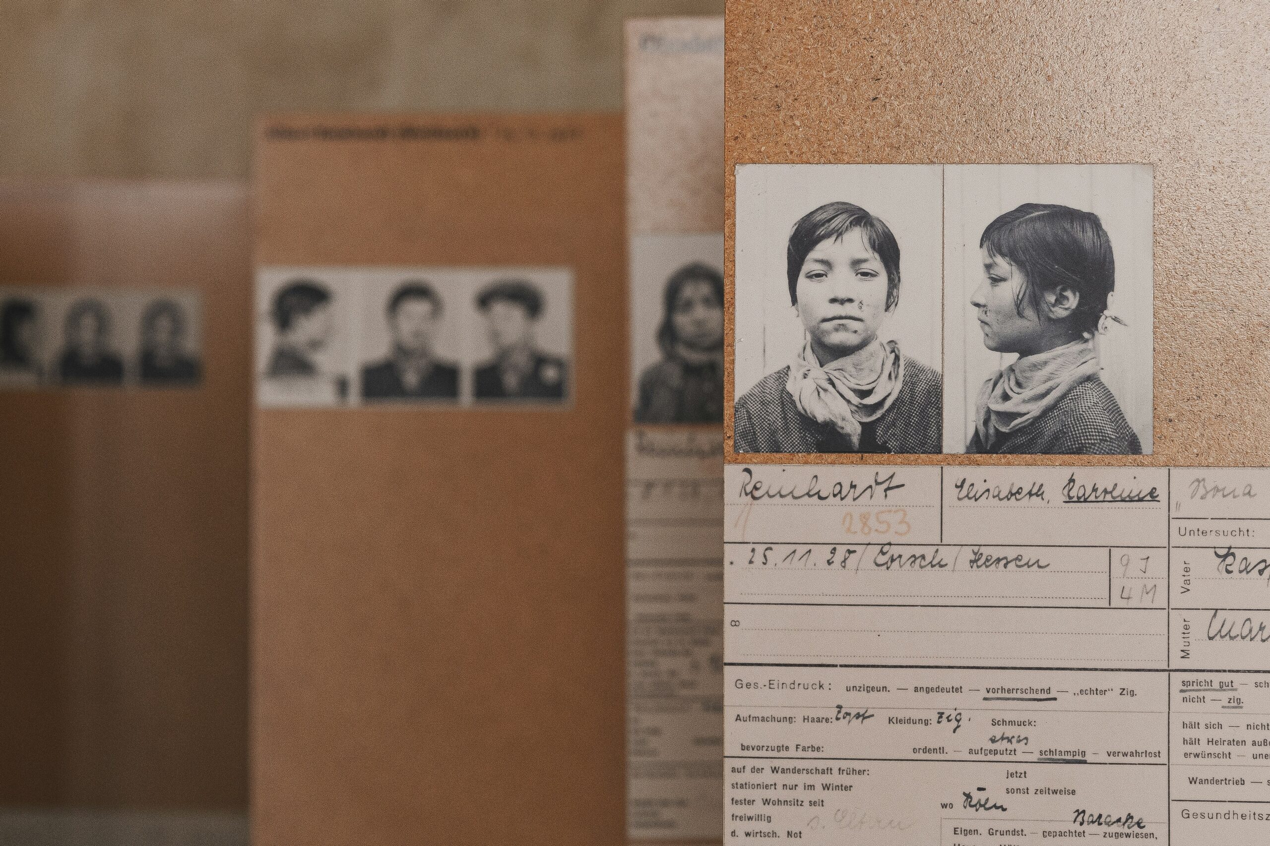 Criminal Record Search: How to Find Anyone’s Criminal History (Free and Paid Methods)